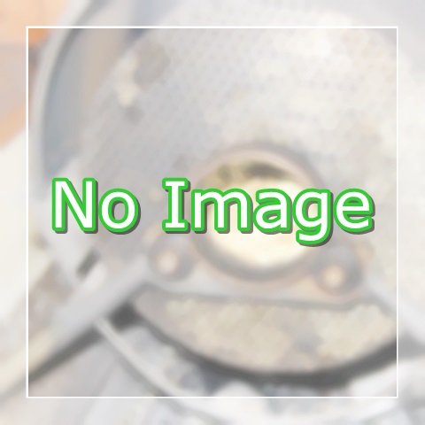 商品画像を準備中です